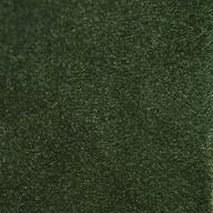 Paris Green 10